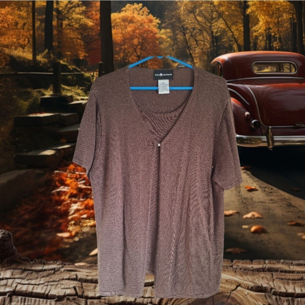 Sag Harbor Brown Short Sleeve Top with Inner Layer Size XL